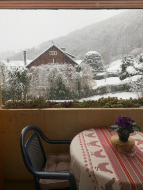 Appartement vue montagne avec wifi